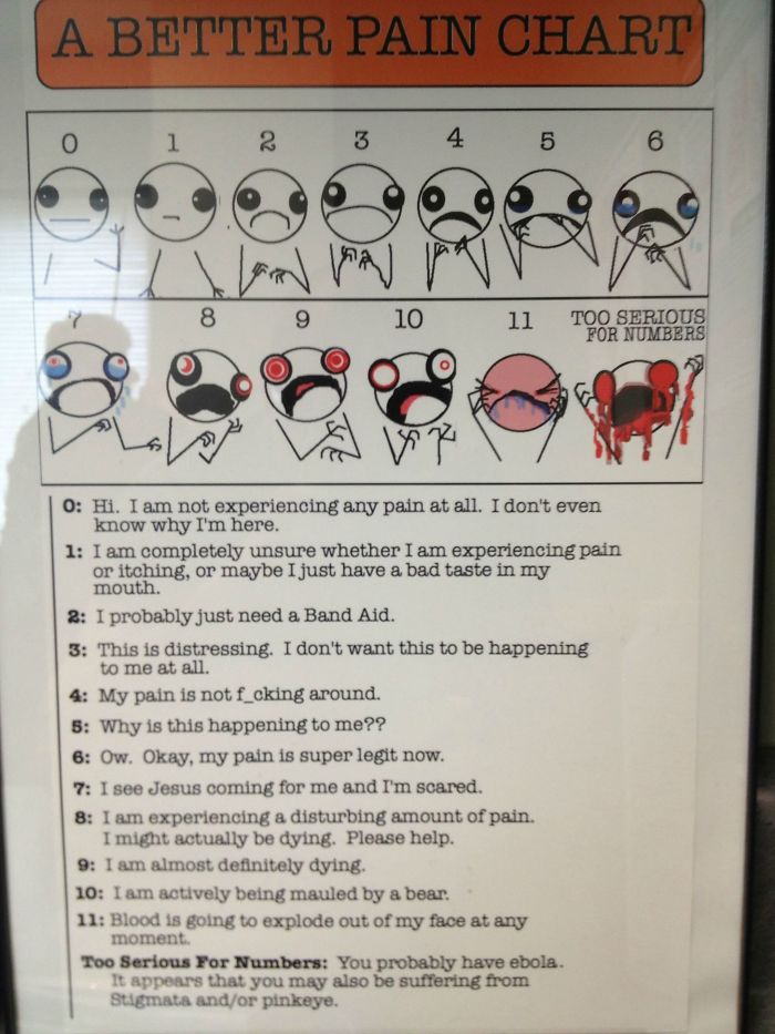 Found This In My Doctor's Office. Seemed Accurate