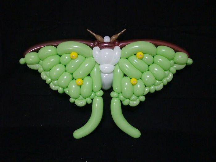 Luna Moth figuras hechas con globos inflables