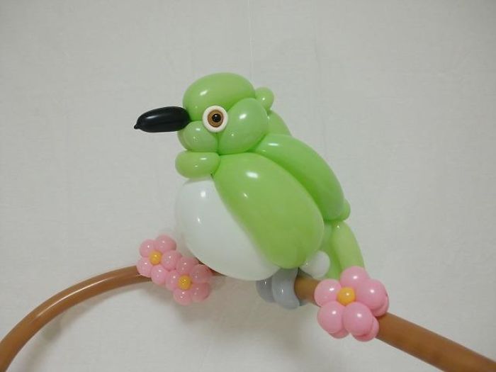 Japanese White-Eye figuras hechas con globos inflables