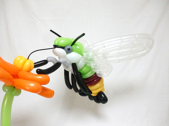 Pellucid Hawk Moth figuras hechas con globos inflables