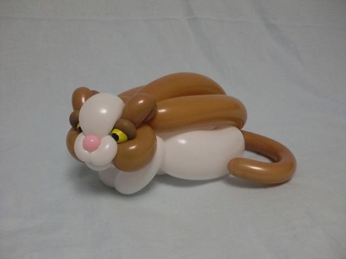 Cat figuras hechas con globos inflables