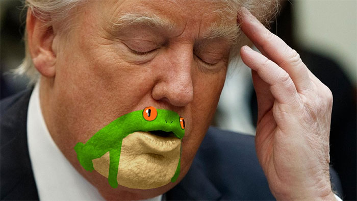 funny-donald-trump-frog-coverimage.jpg