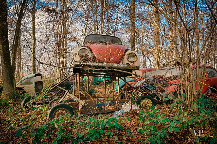  photographed old cars lost woods 