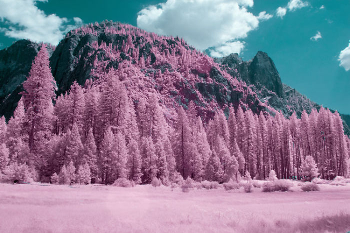 Ryan Berg - Park Narodowy Yosemite w podczerwieni. Ryan Berg - Yosemite National Park in infrared.