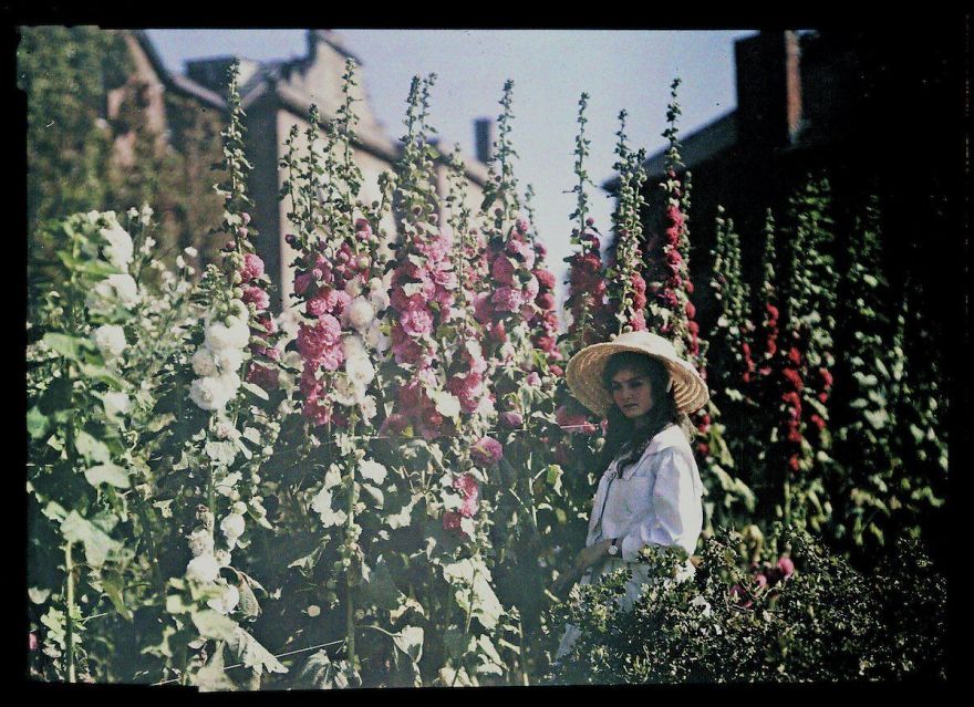 Girl In A Garden With Hollyhocks, 1908