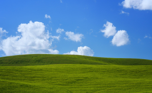 I Photographed Tuscany And It Looks Like The Classic Windows XP Wallpaper