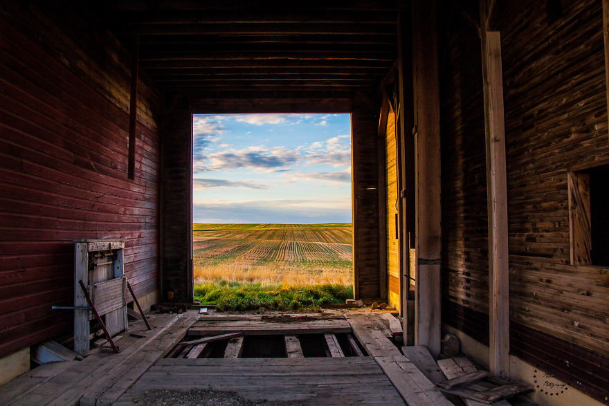  photograph views from abandoned prairie doors 