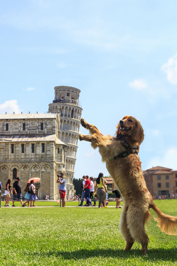Oh, Good. Another "Holding Up The Leaning Tower Of Pisa" Pic