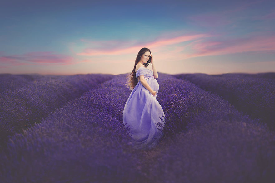  photo shoot lavender field 