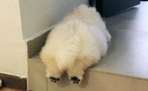 This Potato Is Taking Instagram By Storm, And Its Photos Are Just Too Cute