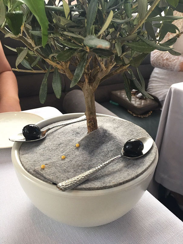 I Only Like My Olives To Be Served On A Silver Spoon And Placed Beneath A Miniature Olive Tree