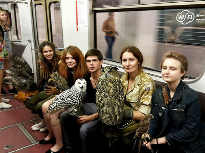 Búhos en el metro de Moscú