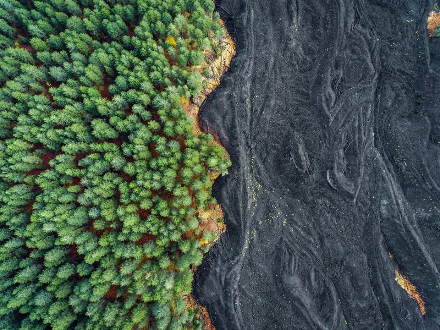 Solidified Lava Vs Forest