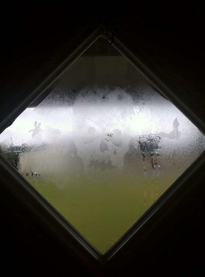 Took Down Halloween Decorations This Week And Woke Up To This