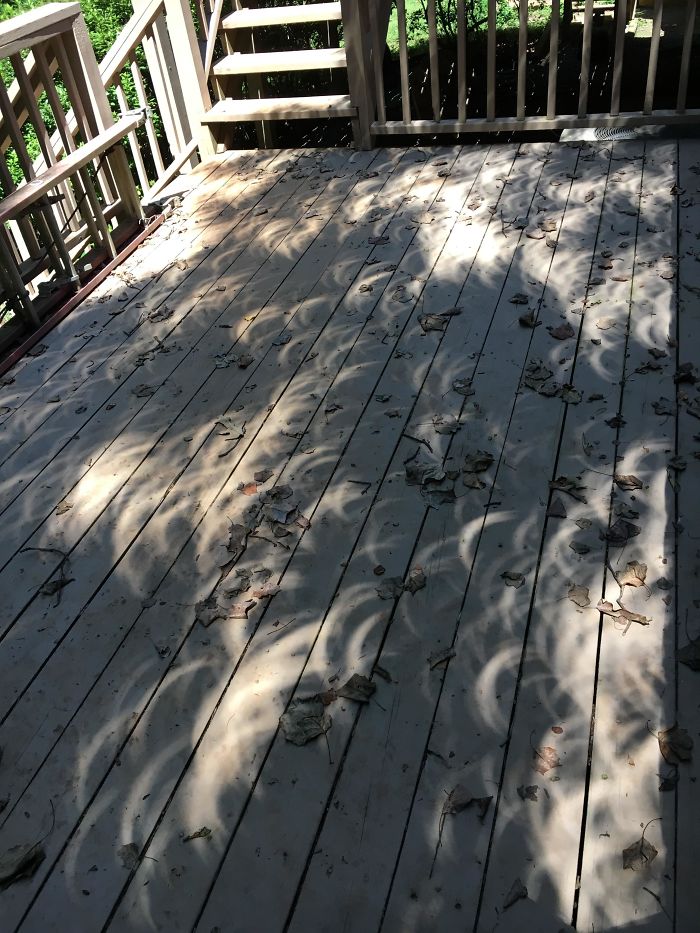 The Eclipse Is Leaving Very Weird Shadows On My Deck!