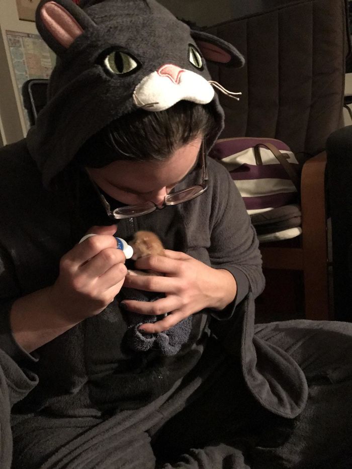 I Woke Up At 3 Am To Find My Girlfriend Feeding A Foster Cat. As A Cat