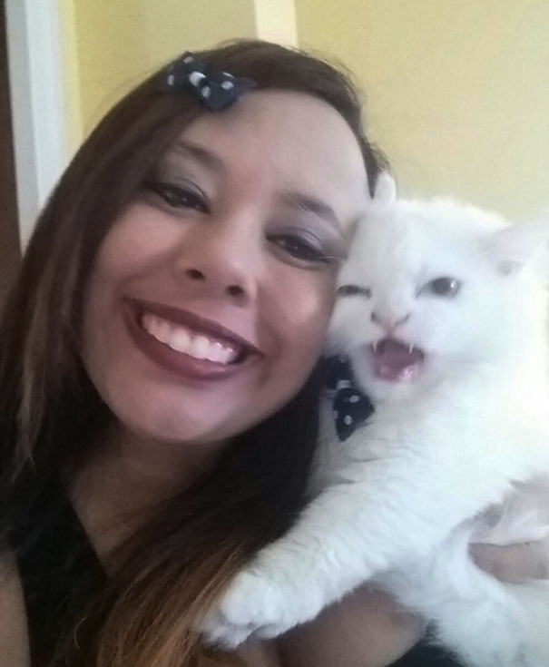 ¡Dejame tranquilo!: cuando los gatos se niegan a salir en las selfies de sus dueños