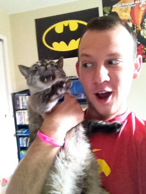 ¡Dejame tranquilo!: cuando los gatos se niegan a salir en las selfies de sus dueños