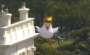 Giant Inflatable Chicken That Looks Like Trump Just Landed Near The White House