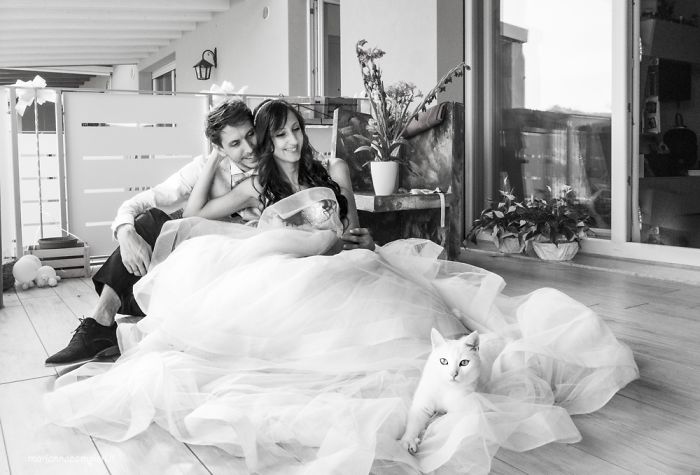  post-marriage private shooting cats 