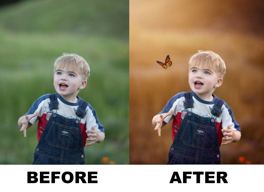 Photographer Uses Butterflies To Create A New Mini Photo Series Out Of Old Unusable Images