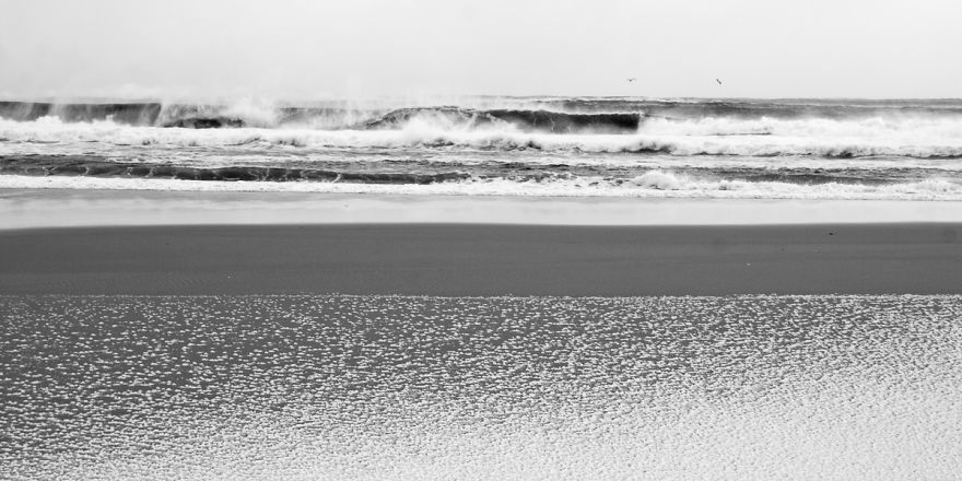 20 Years Of Shooting Land And Seascapes On Sable Island