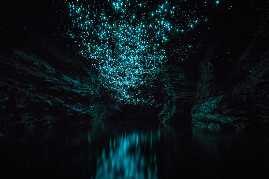  glow worms turn zealand cave into starry 
