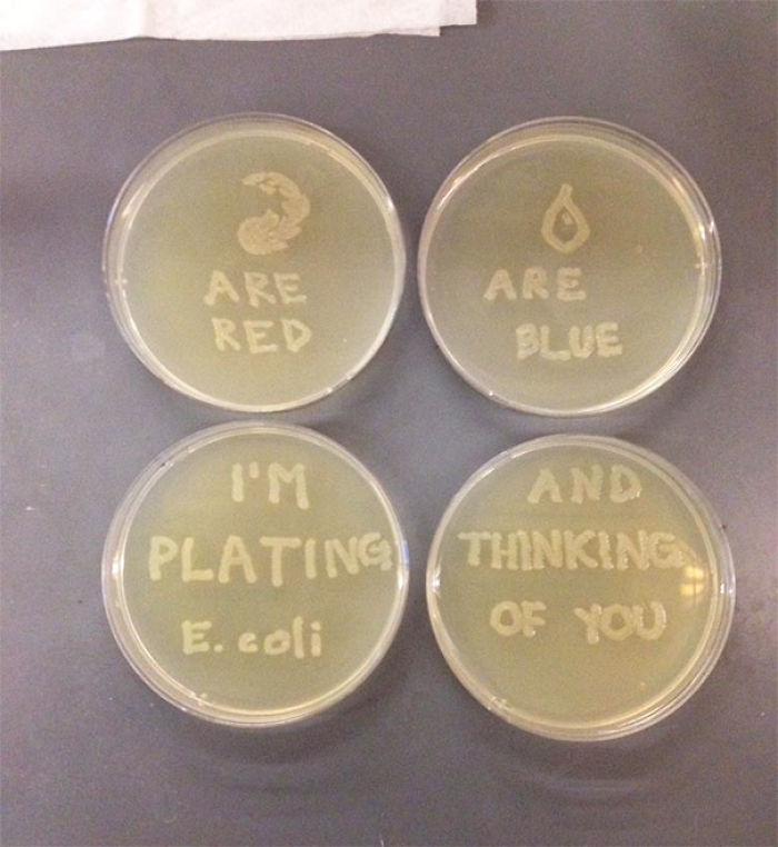 My Girlfriend Is A Microbiologist. She Just Sent Me This Valentine