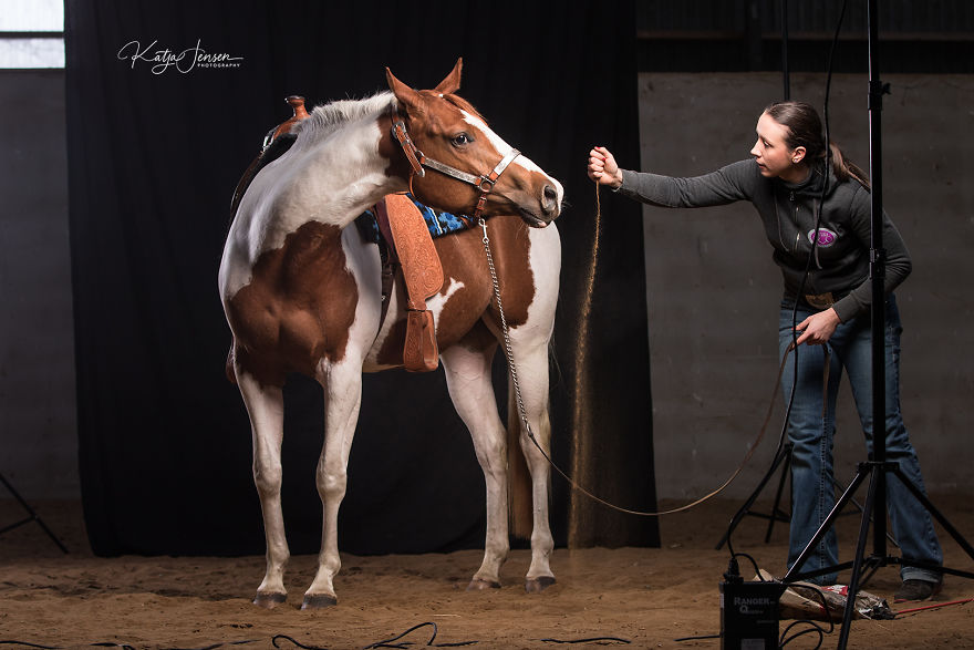  behind scenes photographing horses studio will put 