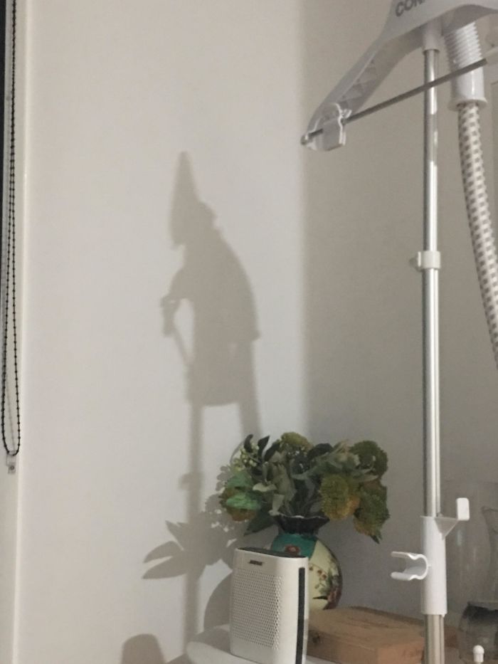 My Clothes Steamer Casts A Shadow That Looks Like A Witch