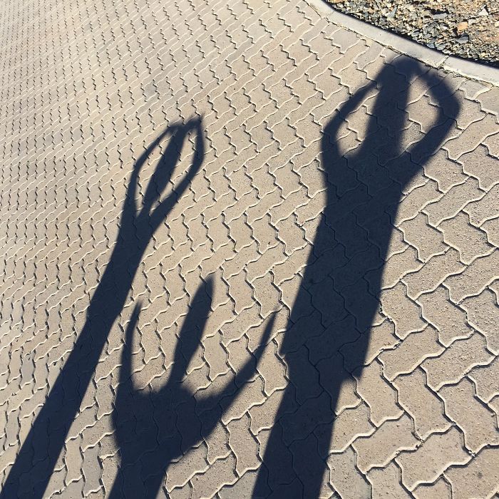The Kids Made A Cat Face With Their Shadows