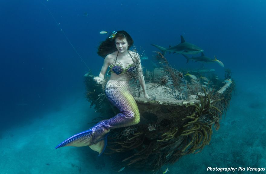  mermaid swimming save sharks 