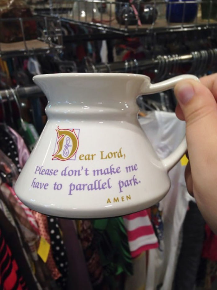 Today On “Weirdly Specific But Extremely Relatable Goodwill Finds”