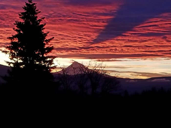 Mt. Hood Casting A Shadow On The Clouds This Morning