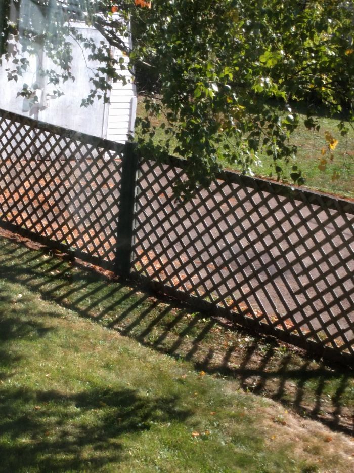 This Fence Only Casts Parts Of The Shadow
