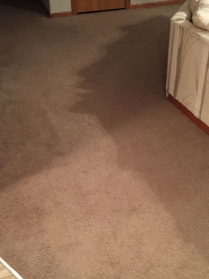 The Shadow Of My Couch Looks Like The Silhouette Of A Man