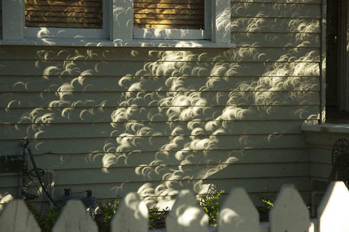 Shadows Of Leaves From A Tree During A Solar Eclipse