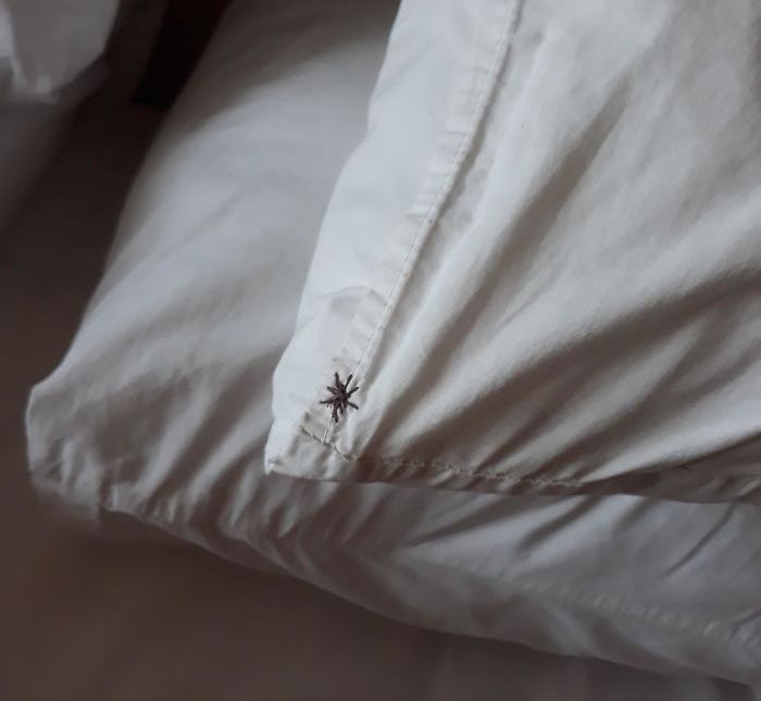 The Pillowcases At Our Hotel Have A 