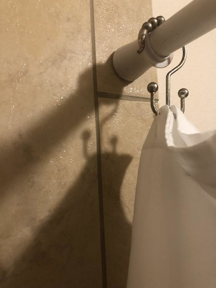 Shadow In My Shower Looks Like A Confident Slug