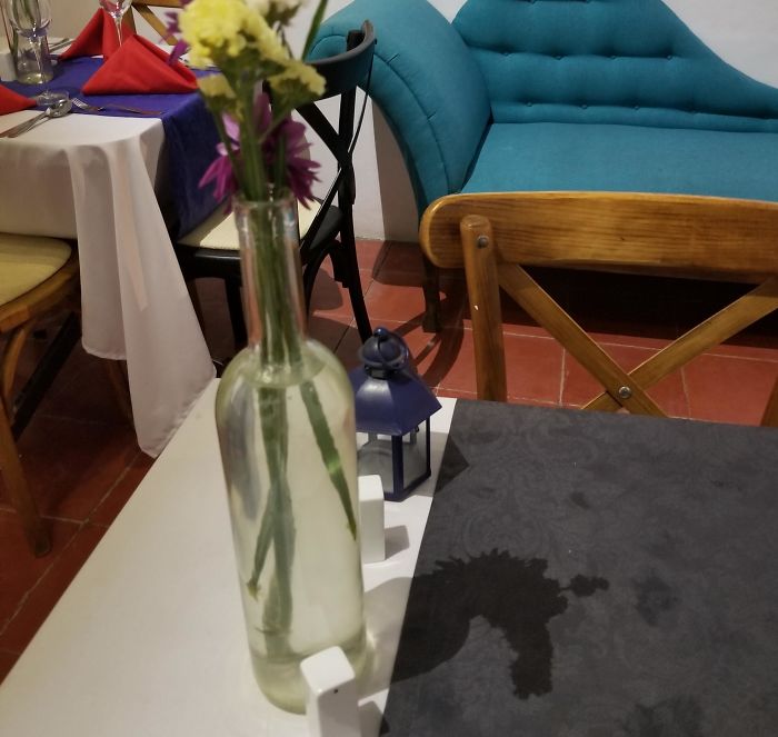 The Shadow Cast By The Flowers On My Table Looks Like A Unicorn