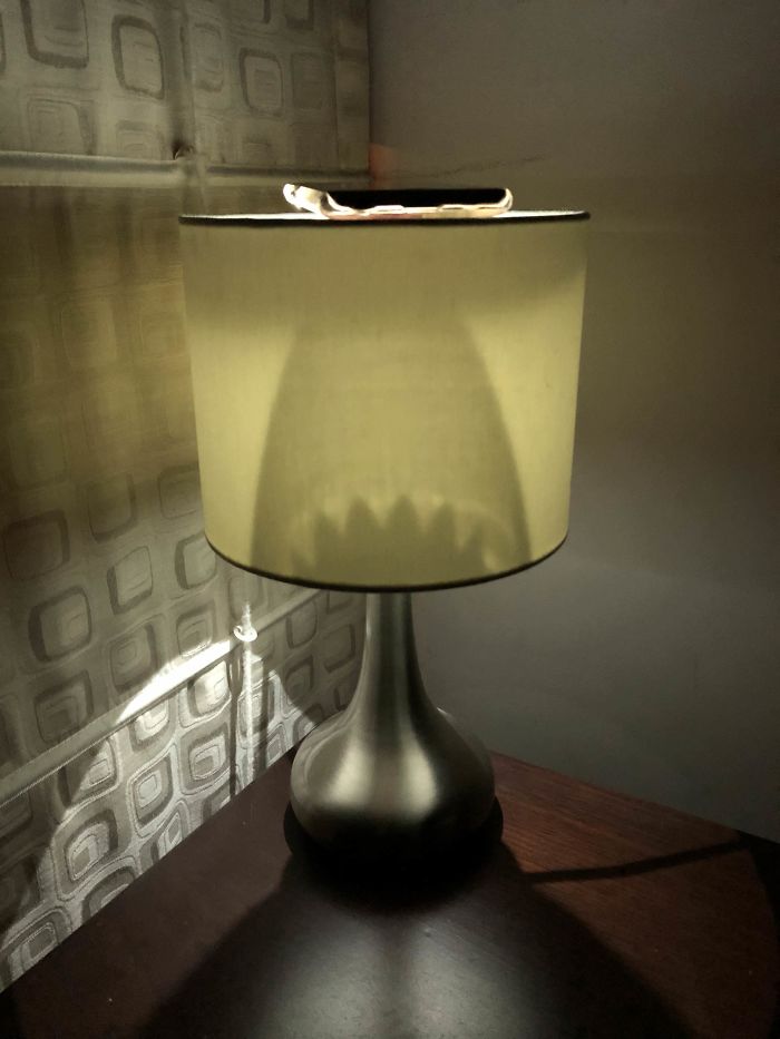 I Placed My Phone With The Flashlight On, On Top Of This Lamp. Got An Interesting Shadow