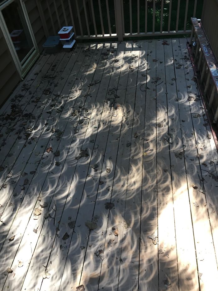 The Eclipse Is Leaving Very Weird Shadows On My Deck!