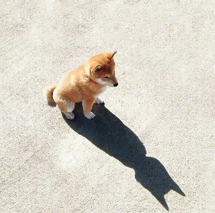 Batman In Disguise
