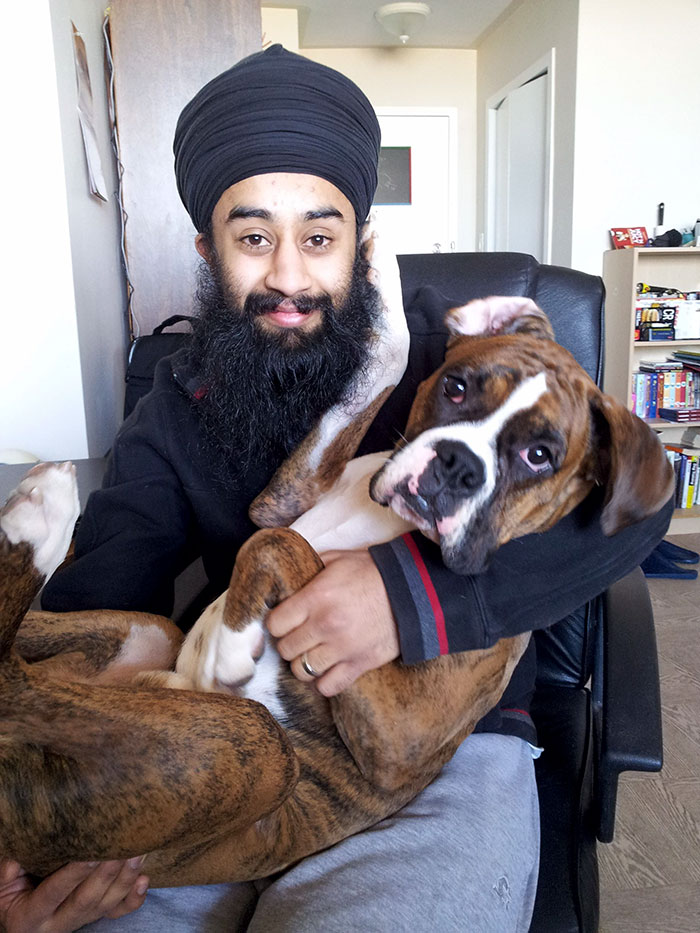 My Boxer Likes To Be Cradled Like A Baby. Then He Likes To Touch My Beard