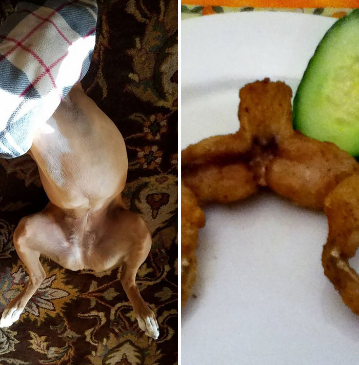 Suddenly I'm Hungry For Frog Legs