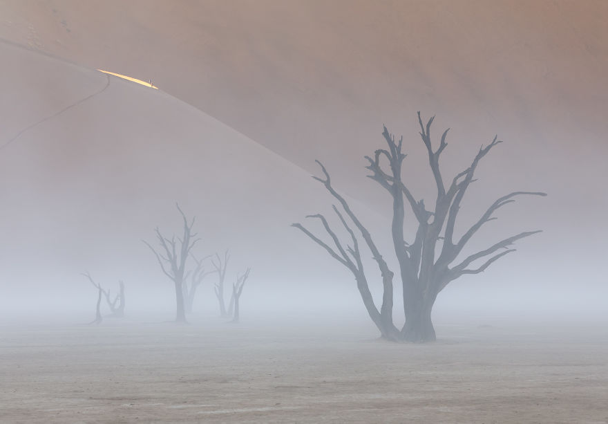 Images Of The Dead Trees Of Deadvlei In Magical Mist After A Rainstorm