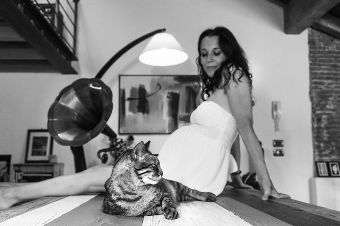  photograph mommies-to-be their cats fight prejudices 