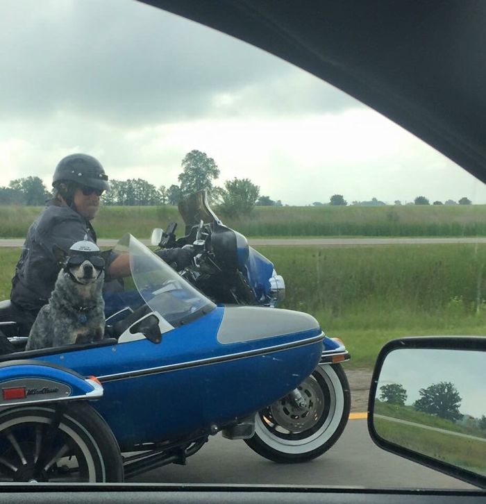 Saw This Fella On The Highway. The Sticker On His Helmet Says 