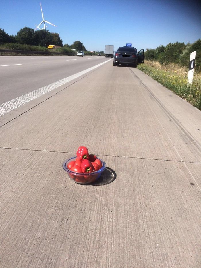 This Lithuanian Driver Didn't Have A Warning Triangle, So Instead He Put Down On The Road... A Bowl With Tomatoes And Paprikas