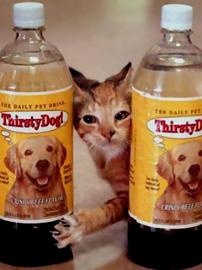 Thirsty Cat! And Thirsty Dog!, 1994